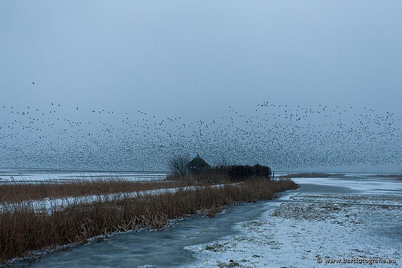 Winter Bart Fotografie-057
