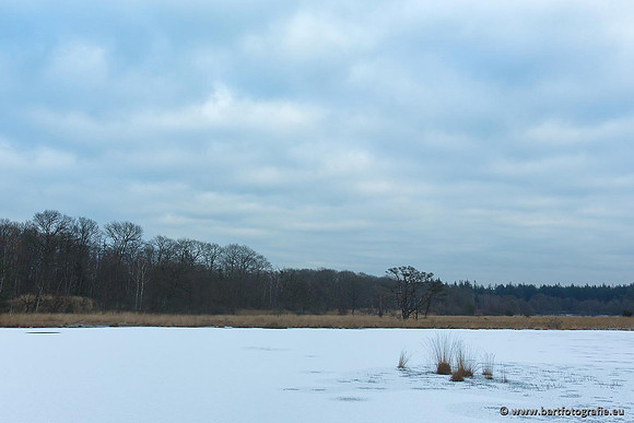 Winter Bart Fotografie-058