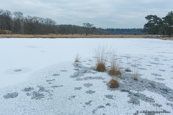 Winter Bart Fotografie-059