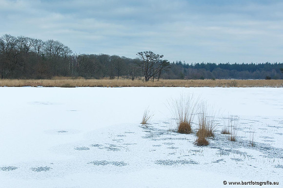Winter Bart Fotografie-060