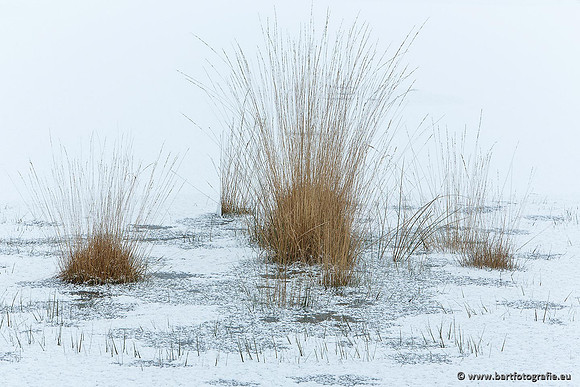 Winter Bart Fotografie-061