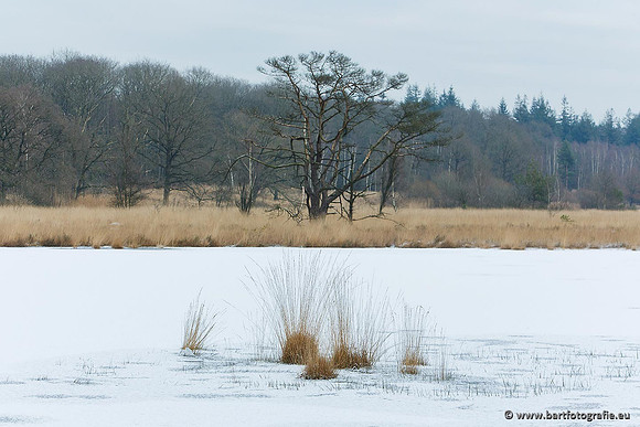 Winter Bart Fotografie-063