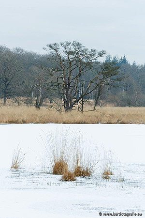 Winter Bart Fotografie-064