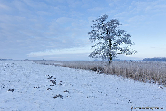 Winter Bart Fotografie-067