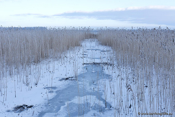 Winter Bart Fotografie-070
