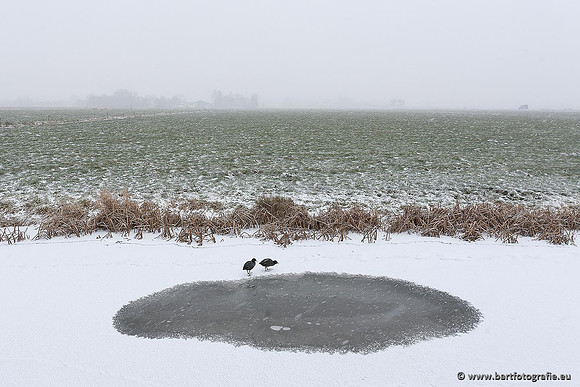 Winter Bart Fotografie-072