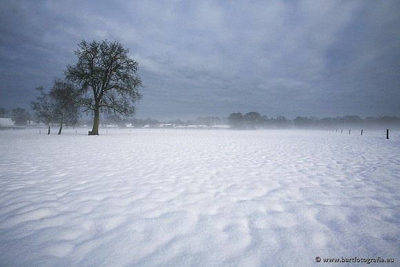 Winter Bart Fotografie-073