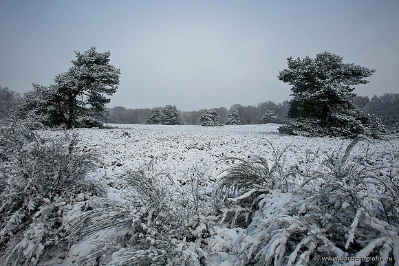 Winter Bart Fotografie-104