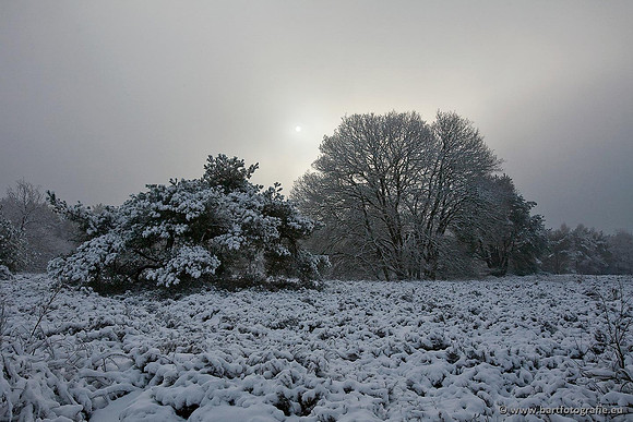 Winter Bart Fotografie-105
