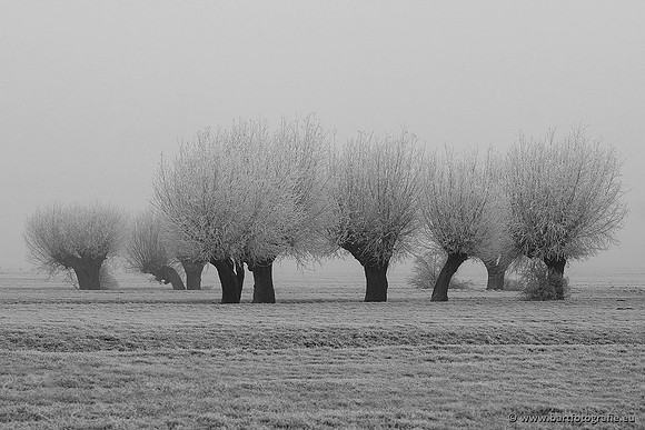 Winter Bart Fotografie-107