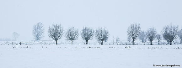 Winter Bart Fotografie-108