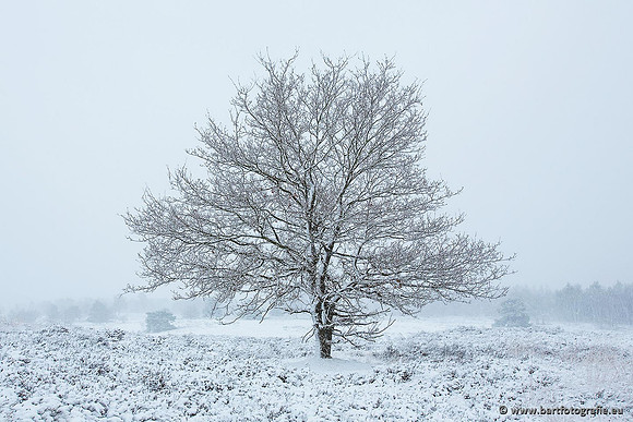 Winter Bart Fotografie-110