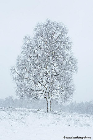 Winter Bart Fotografie-111