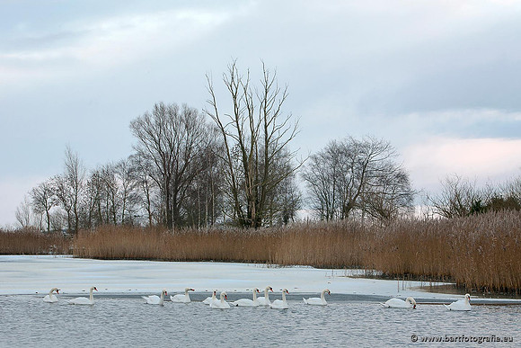 Winter Bart Fotografie-118