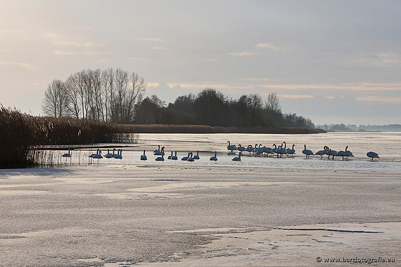 Winter Bart Fotografie-120