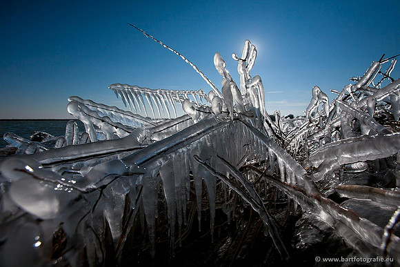 Winter Bart Fotografie-121