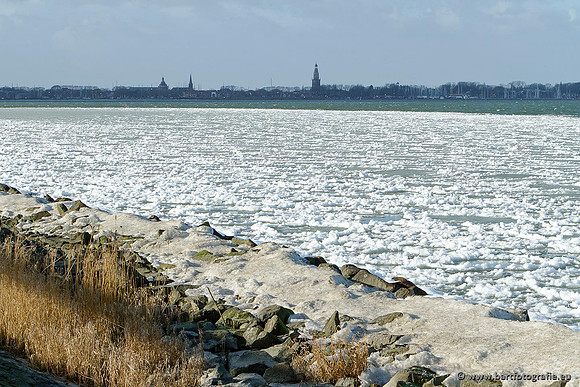 Winter Bart Fotografie-131