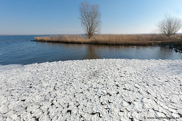 Winter Bart Fotografie-133