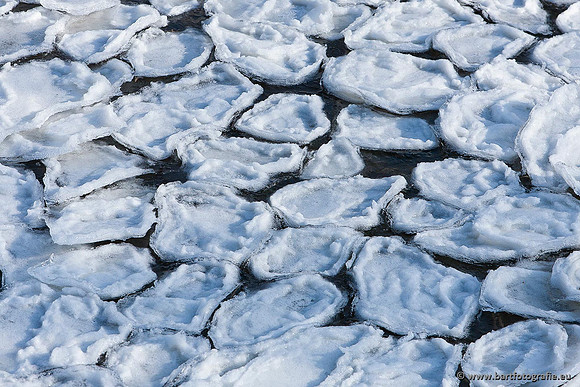 Winter Bart Fotografie-139