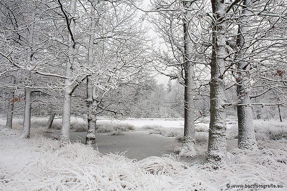 Winter Bart Fotografie-149