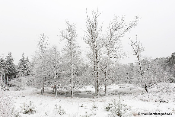 Winter Bart Fotografie-147