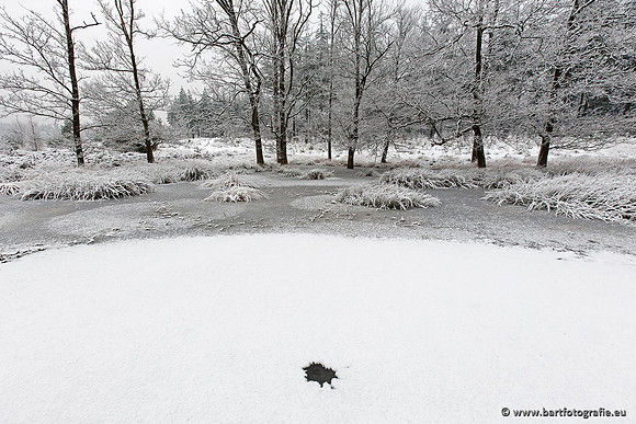 Winter Bart Fotografie-150