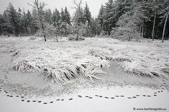 Winter Bart Fotografie-152