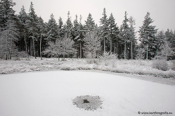 Winter Bart Fotografie-153