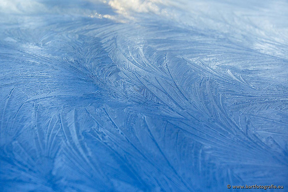 Winter Bart Fotografie-155