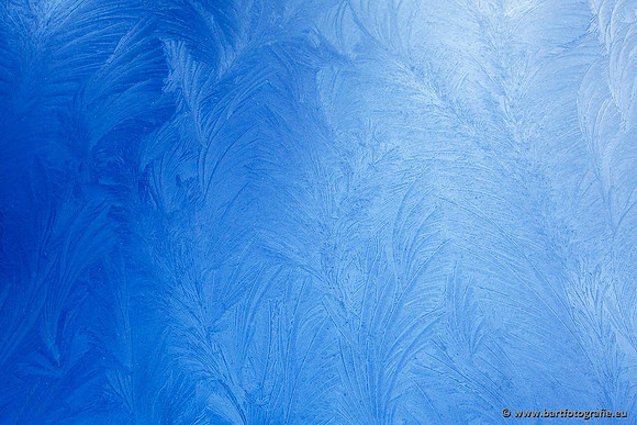 Winter Bart Fotografie-156