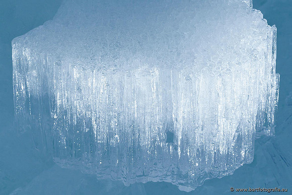 Winter Bart Fotografie-158