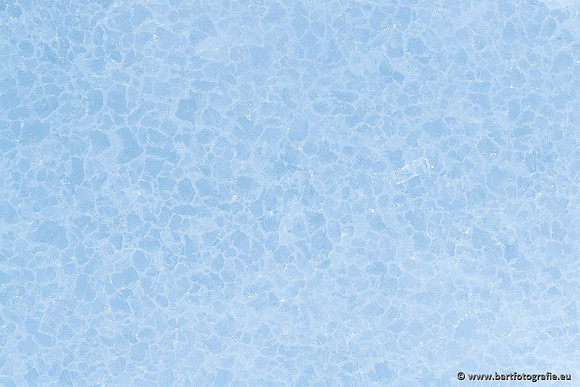 Winter Bart Fotografie-159