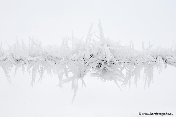 Winter Bart Fotografie-163