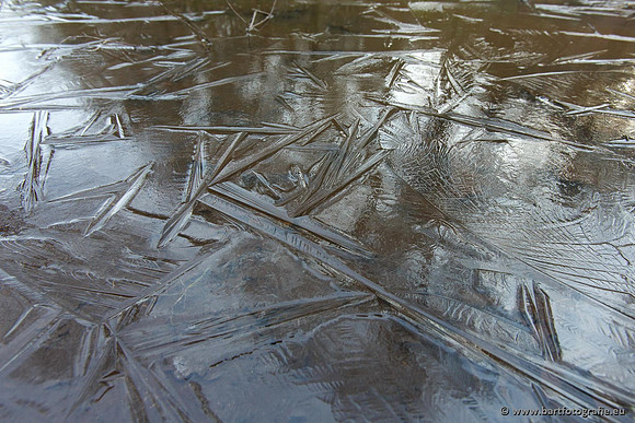 Winter Bart Fotografie-164