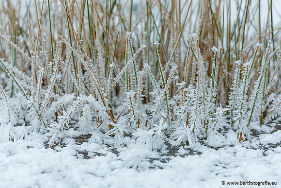 Winter Bart Fotografie-167