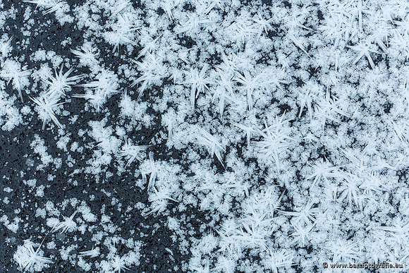 Winter Bart Fotografie-169