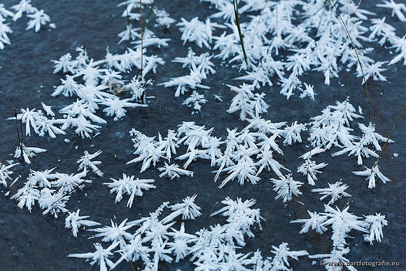 Winter Bart Fotografie-170