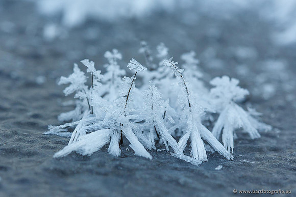 Winter Bart Fotografie-171