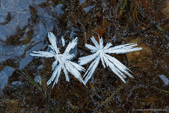 Winter Bart Fotografie-172
