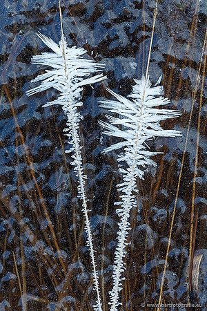 Winter Bart Fotografie-173