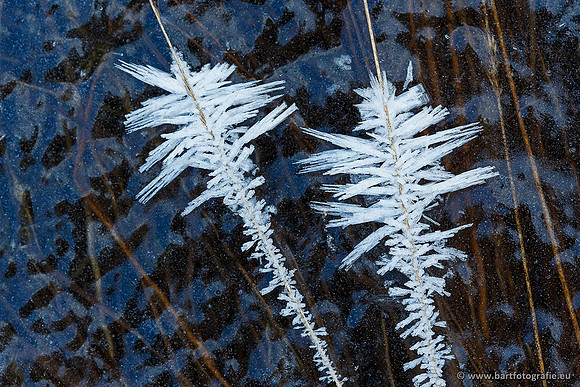 Winter Bart Fotografie-174