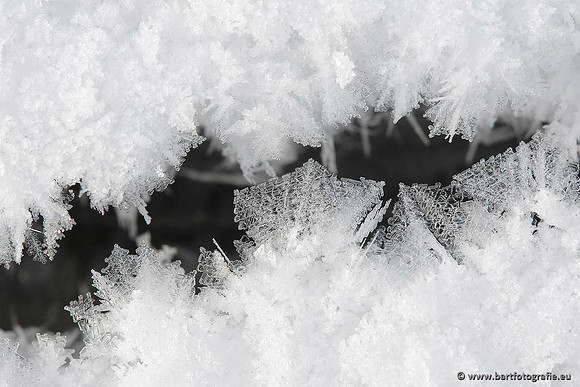 Winter Bart Fotografie-177