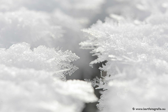 Winter Bart Fotografie-178