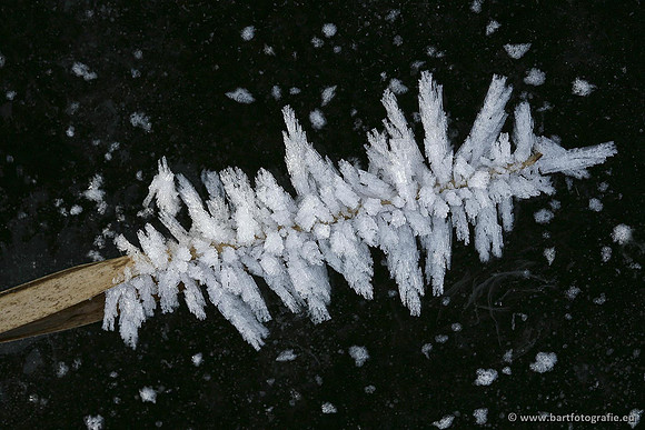 Winter Bart Fotografie-181
