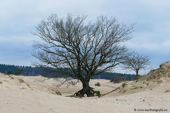 Zandverstuiving Bart Fotografie-171