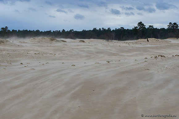 Zandverstuiving Bart Fotografie-189