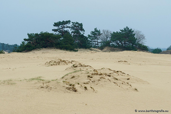 Zandverstuiving Bart Fotografie-201