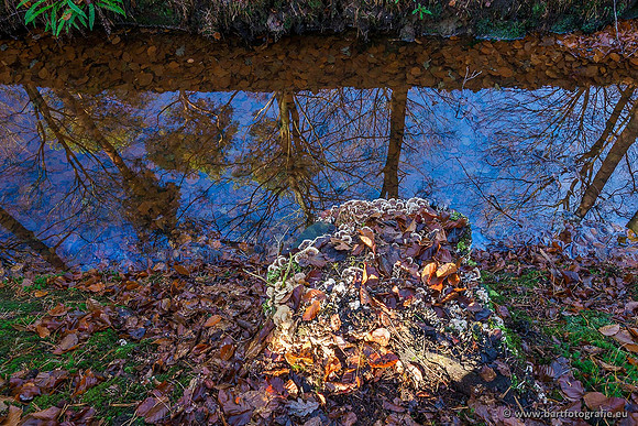 Beken divers Bart Fotografie-044