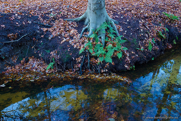 Beken divers Bart Fotografie-048