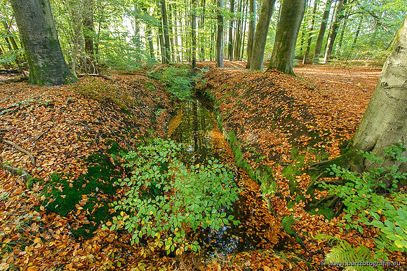 Beken divers Bart Fotografie-051